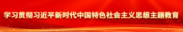 一路操逼视频学习贯彻习近平新时代中国特色社会主义思想主题教育